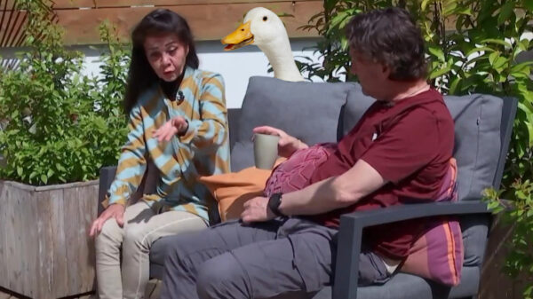 Heb jij weer: een date die ook flirt met eenden