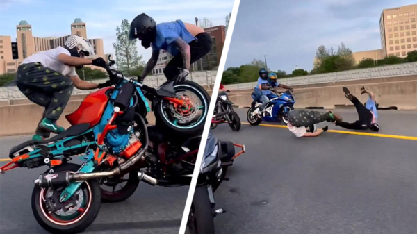 Falende motormuizen: gewaagde stunt op de snelweg gaat van kwaad tot erger