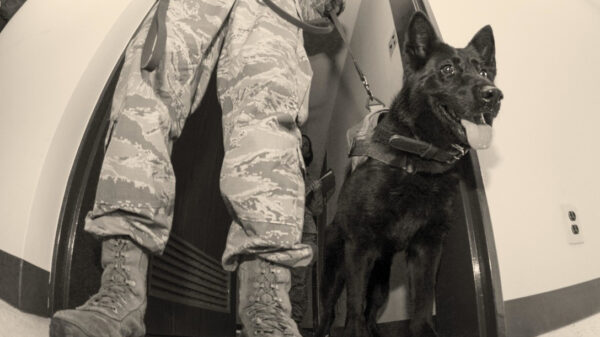 Patrick Snuivert betrapt door vrouwelijke collega tijdens zijn snuffelstage