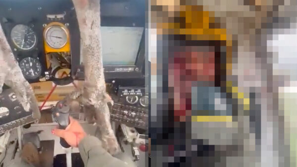 Gigantische condor vliegt in Ecuador door voorruit van een vliegtuigje