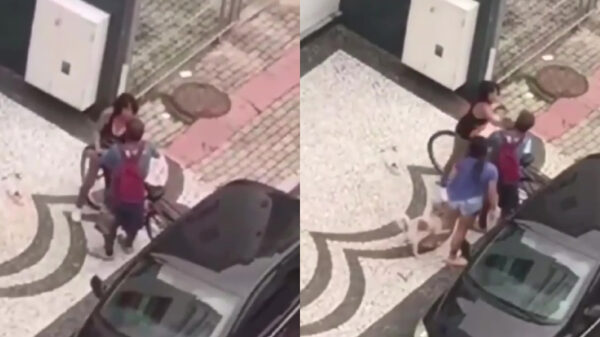 Na het zien van deze video kan het internet waarschijnlijk uit