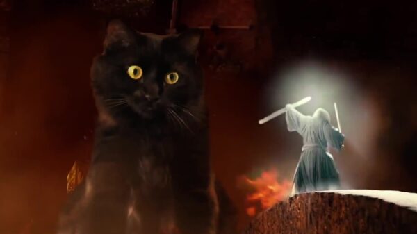 The Lord of the Rings, maar dan met katten