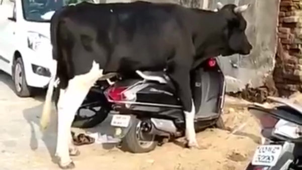 Sorry baas, ik ben vandaag iets later