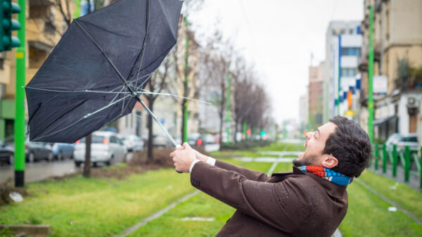 Paniek, peeuw, code rood: storm Poly staat op het punt om Nederland te slopen