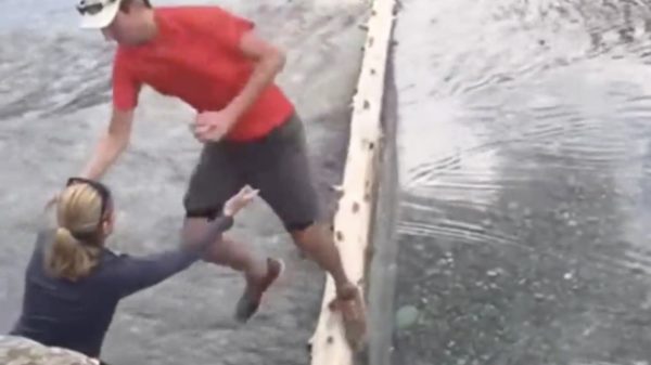 Zoek de balans: zeker als je over een tak loopt