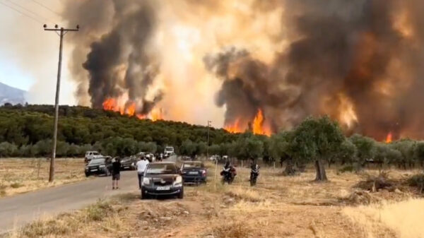 Toeristen in Griekenland massaal op de vlucht voor extreme bosbranden