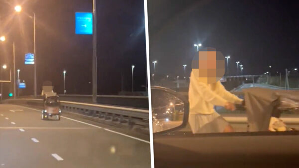 Bakfietsvrouw rijdt om 2 uur 's nachts vrolijk via de snelweg naar huis