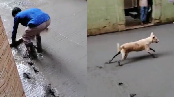 Dankzij Fikkie kun je weer opnieuw beginnen met je betonvloer