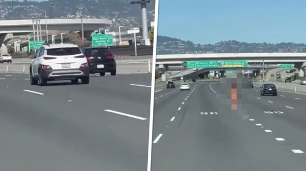 What in the Fahrenheit: naakte vrouw lost schoten op een Amerikaanse snelweg