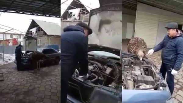 Automonteur krijgt hulp uit onverwachte hoek