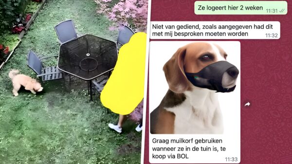 Geflipte buurman gaat door het lint vanwege een oppashond die 3x blaft