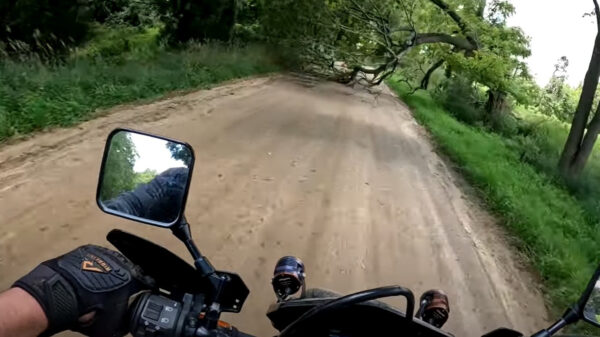 Motorrijder heeft geen schijn van kans nadat uit het niets een boom omvalt