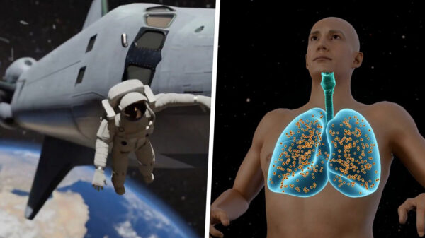 Wat gebeurt er als je zonder astronautenkleding in de ruimte ronddobbert?