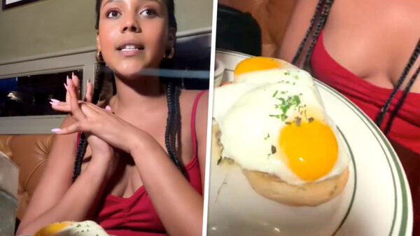 Not sure if trolling: verwend nest klaagt bij ober omdat haar eten niet exact op het plaatje lijkt