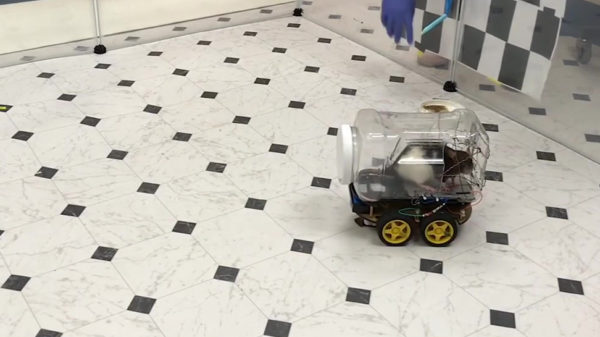 Wetenschappers leren ratten om in kleine autootjes te rijden