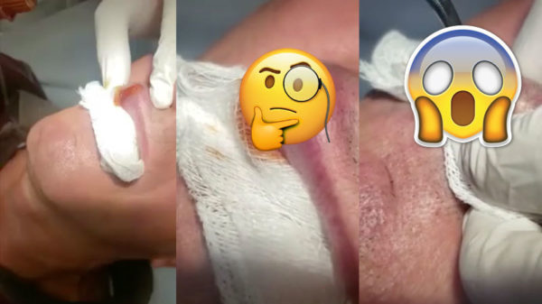 Zo draag je ongemerkt ineens een huisdier met je mee