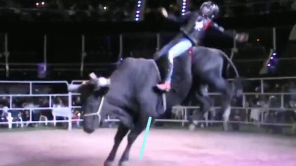 Señorita berijdt stier en krijgt spontaan vleugels