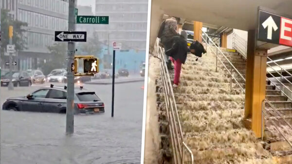 New York gaat kopje onder: straten onder water, zeeleeuw zwemt uit verblijf