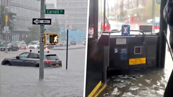 New York gaat kopje onder: straten onder water, zeeleeuw zwemt uit verblijf