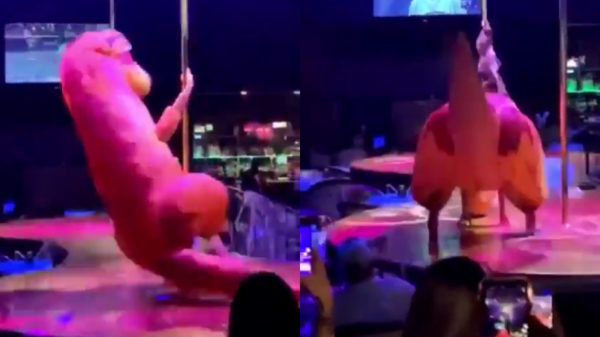 Ooit al eens een twerkende dino in een stripclub gezien?