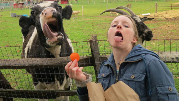 Een verzameling kiekjes uit het afvoerputje van social media (22)