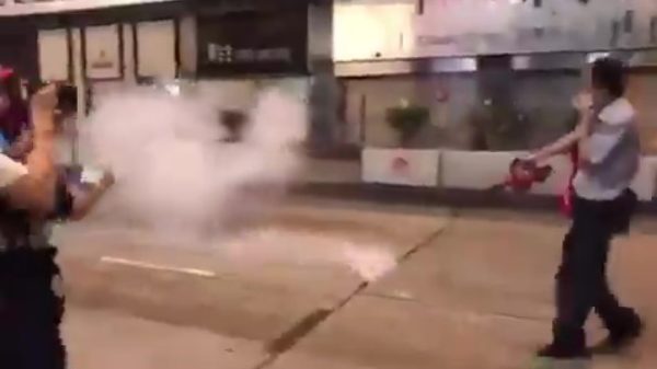 Traangas hoeft dankzij een bladblazer helemaal geen probleem te zijn