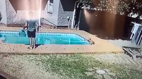 Superheld heeft een opmerkelijke manier om zijn hond uit het zwembad te redden