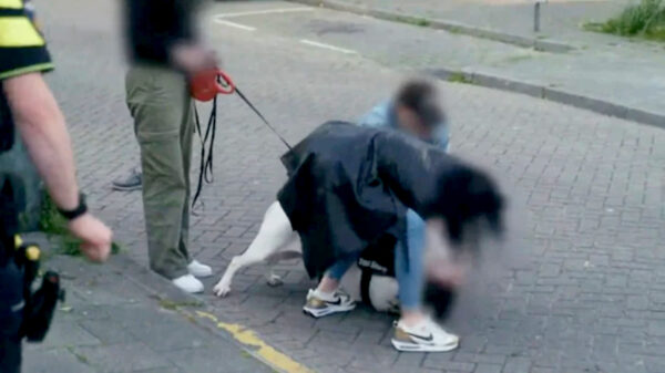 Kijkers in shock na eerste aflevering 'Bureau Rotterdam' met agressieve hond