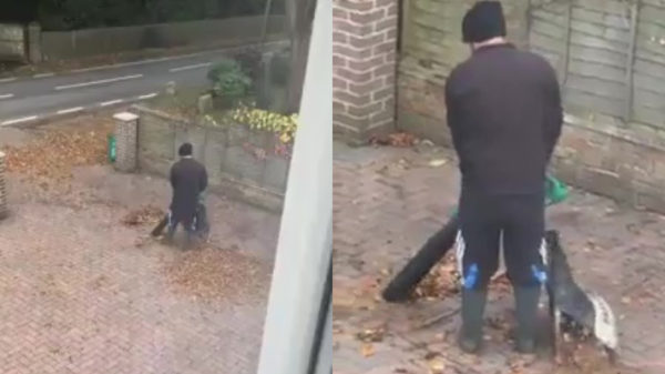 Deze bladblazende faalhaas weet zichzelf wel bezig te houden