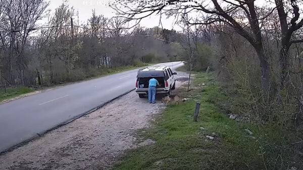 Man uit Texas die zijn Duitse herder naast de weg dumpte gearresteerd