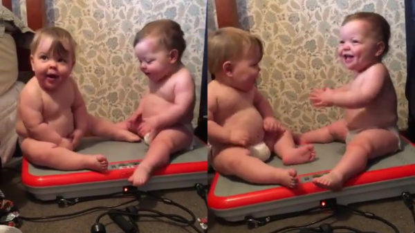 Twee mini-Michelinmannetjes hebben de tijd van hun leven op de trilplaat