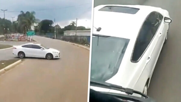 Braziliaanse vrachtwagenchauffeur en vrouw achtervolgd door gekkie in een Ford