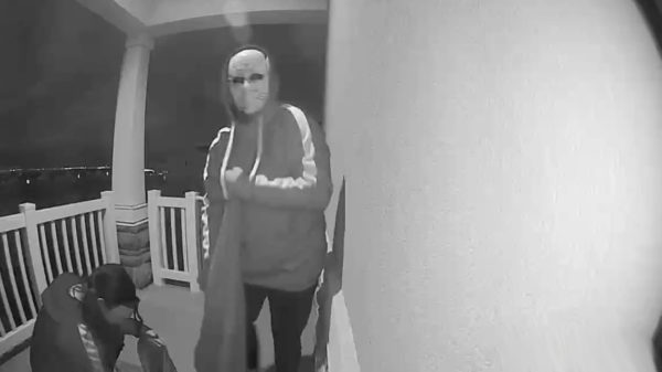 Een deurbelcamera werkt ook perfect tegen iets te gulzige koters