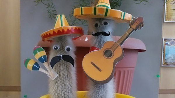 Hotssjeeeeéé het is weekend!