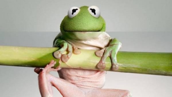 Een bende geniale foto-mashups waar je minimaal twee keer naar moet kijken