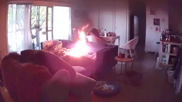 Protip: laat je hond nooit met een aansteker spelen