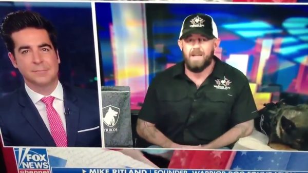 Heerlijke opmerking op Amerikaanse live-tv, wait for it...