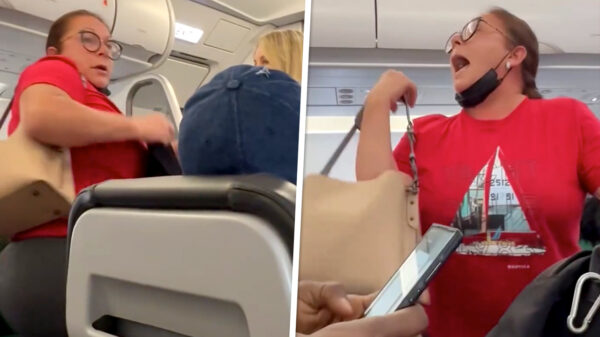 Flippende vrouw in vliegtuig trekt broek uit omdat ze niet naar het toilet mag