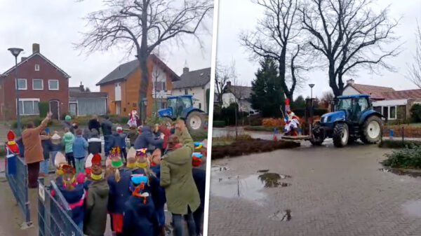 Slechtste plan van de dag: Sinterklaas op een pallet onthalen