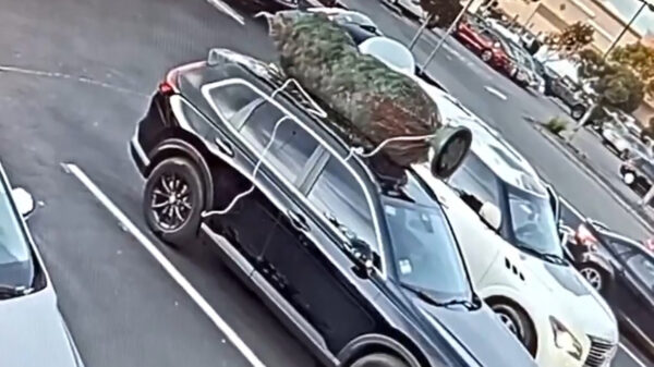 Vent wil geen moeite doen en trekt een kerstboom van iemands auto