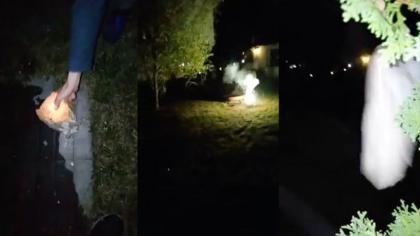 Duitser steekt een vuurwerkje af en krijgt een stuk hout op z'n smoel