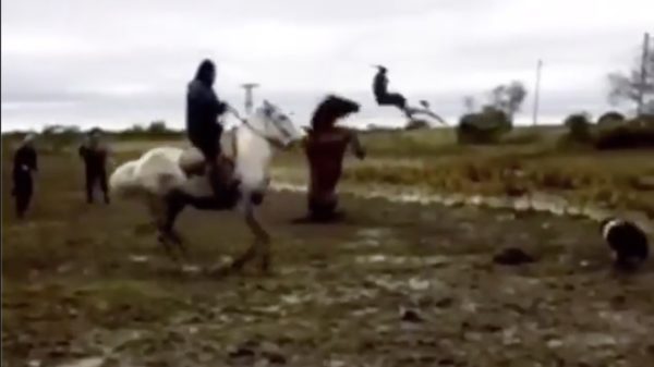 Paard is helemaal klaar met zijn berijder