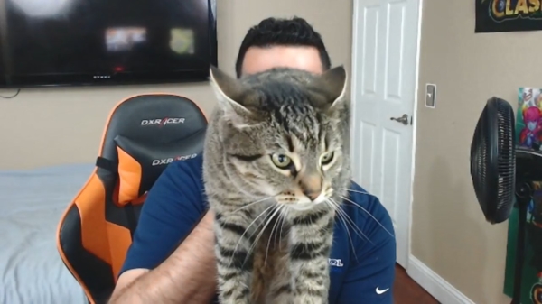 Youtuber komt erachter dat zijn bezeten kat een beetje cameraschuw is