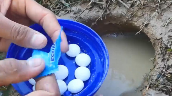 Om vissen te vangen heb je alleen Mentos en een tube tandpasta nodig