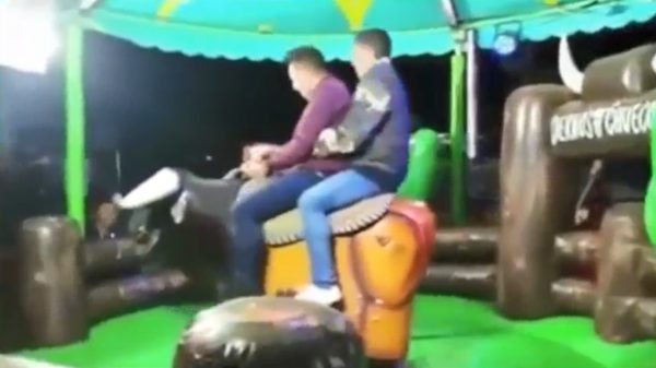 Eigenlijk is de mechanische stier best wel een beetje gay