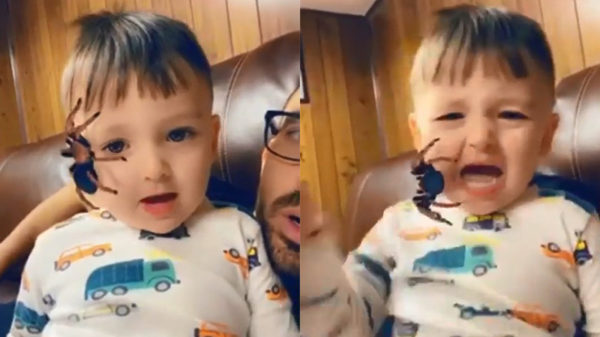 Vader bezorgt zijn koter een trauma voor het leven dankzij supereng snapchat-filter