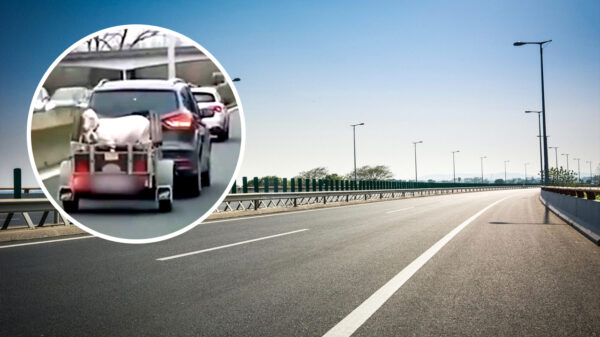 Bizar: Belg vervoert geit in een open aanhangwagen(tje) over de snelweg
