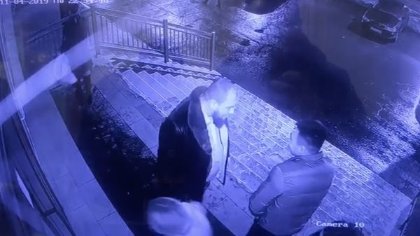 Brutus uit Kazakhstan probeert indruk te maken op klein onderdeurtje