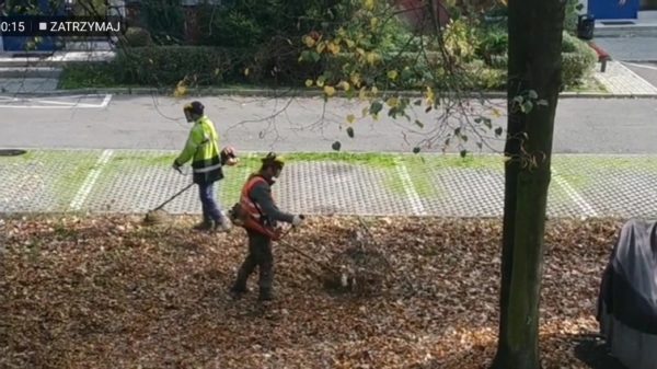 Hey schele Henkies, maaien jullie even de blaadjes?