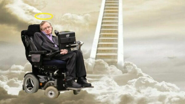 22 controversiële memes op X over Stephen Hawkings rol in de Epstein-documenten